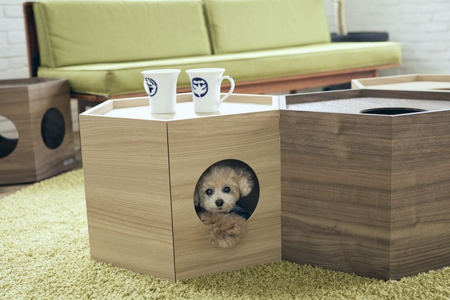 【フランスペット】「ペットハウス ヘキサ」