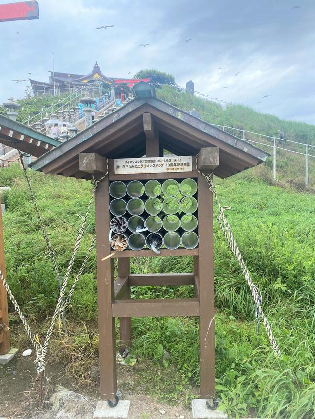 【蕪嶋神社】境内ではウミネコのフン除けの傘の貸し出しも行っている