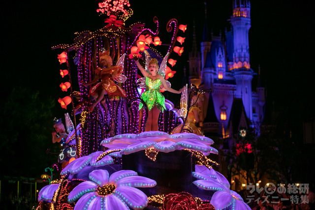 東京ディズニーランド・エレクトリカルパレード・ドリームライツ