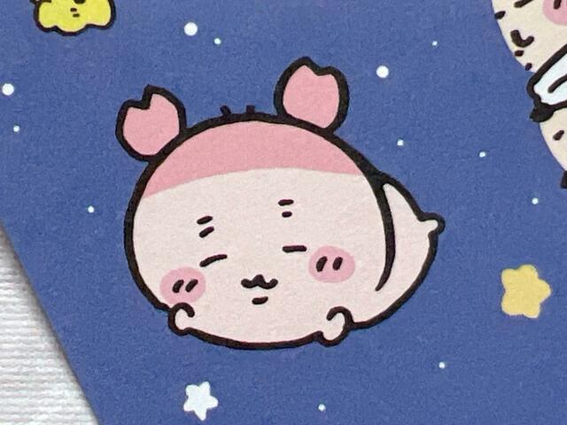 カニちゃんこと古本屋の寝ている姿は癒されますね♪