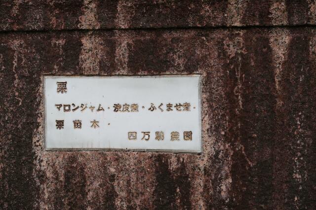 四万騎農園(撮影/園浦しゅう)