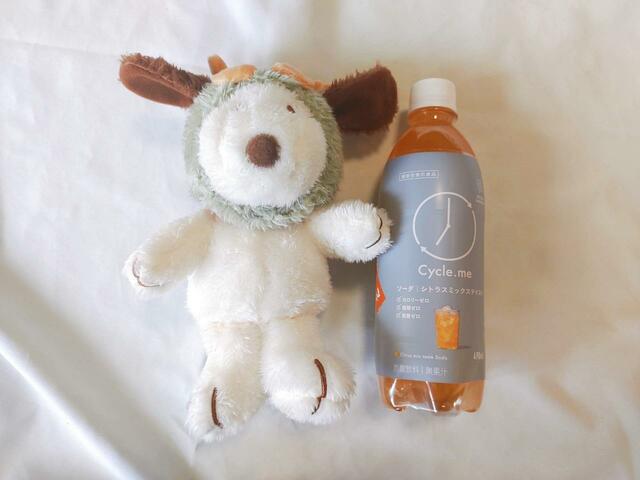 500mlペットボトルくらいの大きさ