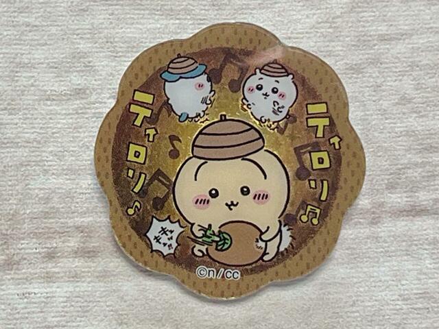 11.どんぐりDJが来てくれました！