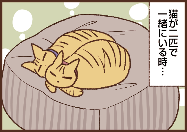 ✿№57✿じゃれねこチャンとじゃれねこチャン レジンパーツ こじら
