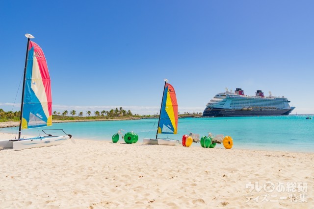 ディズニークルーズライン キャスタウェイクラブ プラチナ ランヤード