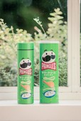 PRINGLES 真空断熱サワークリーム＆オニオン水筒BOOK