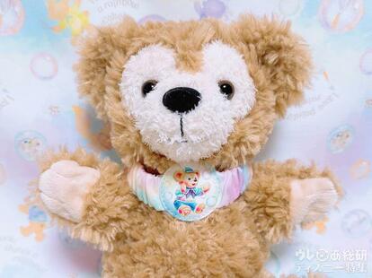 ディズニーグッズ正直レビュー】買い逃したら後悔しちゃうよ