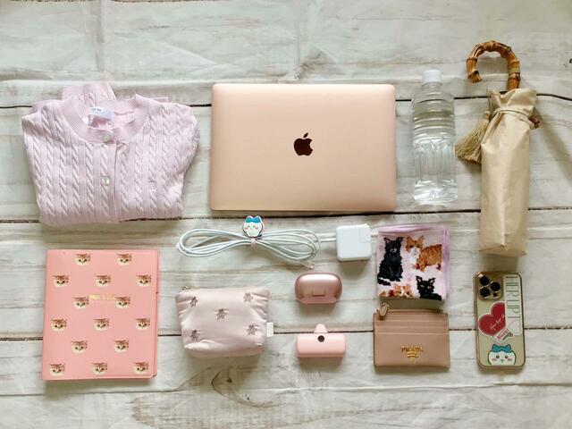 これだけのものが収納可能!