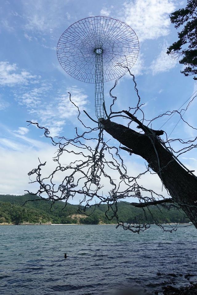 ［参考図版］今村源《きせい・キノコ―2019》2019年（リボーンアート・フェスティバル 2019 での展示風景）