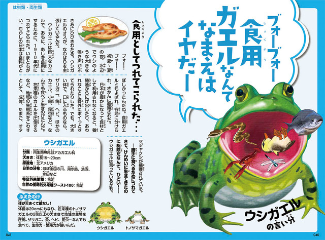 ウシガエルの言い分を聞いてみよう。