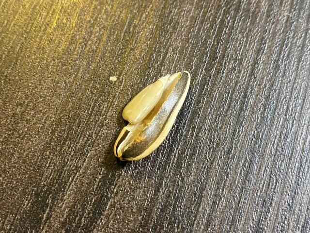 【業務スーパー　ひまわりの種】ピーナッツのような味わいで飽きが来ません