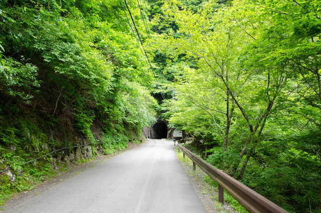 トンネルを発見｜「夢の吊り橋」散策ルート：寸又峡プロムナード