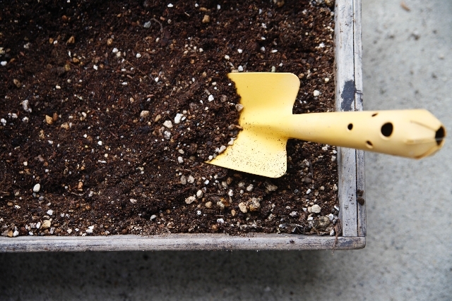 初めての土選びに迷ったら、プランター用で充分
