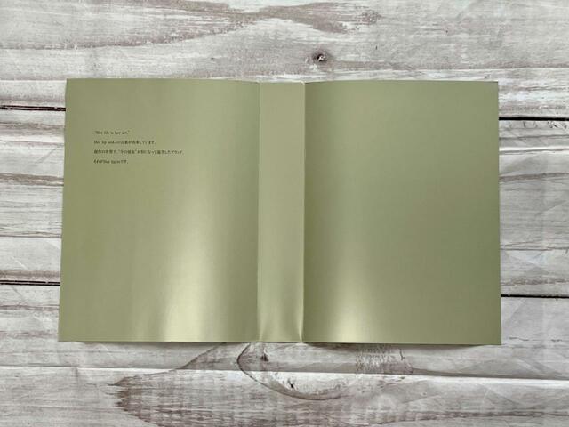 表紙とブック、バッグ入っているボックスは完全に独立した作り『Her lip to 5th Anniversary Book One Handle Bag ver.Her lip to』小嶋陽菜完全監修「ハーリップトゥ」One Handle Bag（ワンハンドルバッグ）価格：3,289円（税込）