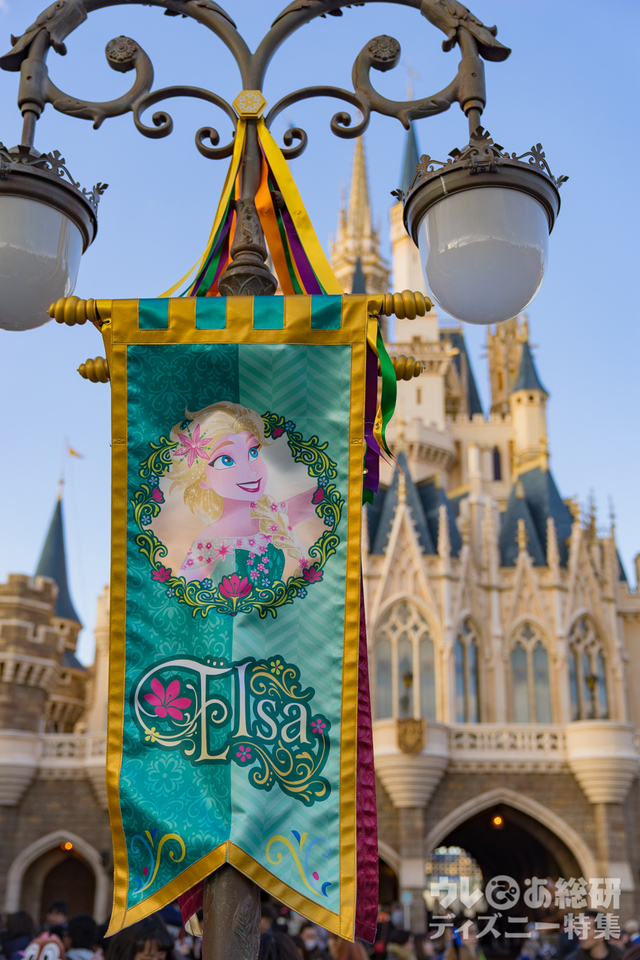 アナとエルサのフローズンファンタジー｜東京ディズニーランド