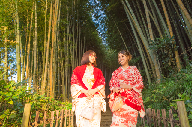 武家屋敷通り〜サムライの古径（こみち）ひよどり坂（佐倉市）