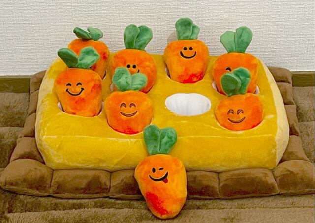 【にんじん畑】ニンジンを土台の畑から抜きます