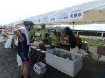 ツール・ド・東北2015／エイドではスタッフの方々が手際よく対応してくれる