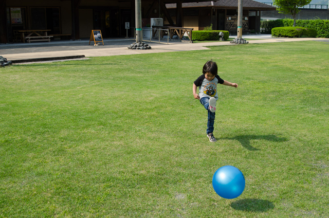 広い芝生でのびのび遊べるのが、子どもたちにとっては最高