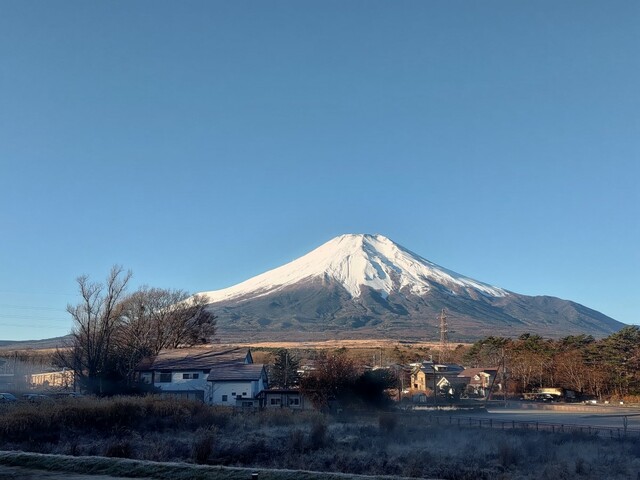 【VISION GLAMPING Resort ＆ Spa 山中湖】朝、客室からの眺め