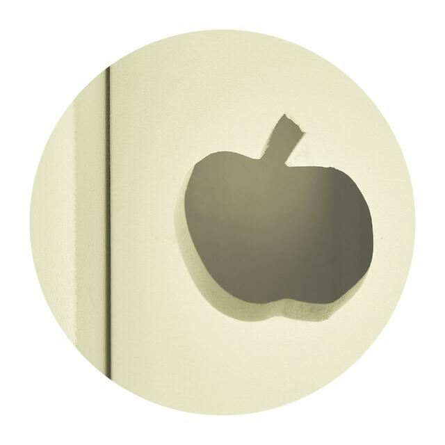 両面から使えるカウンター上収納ケース（選べるキャラクター）｜￥ 9,990 （税込）