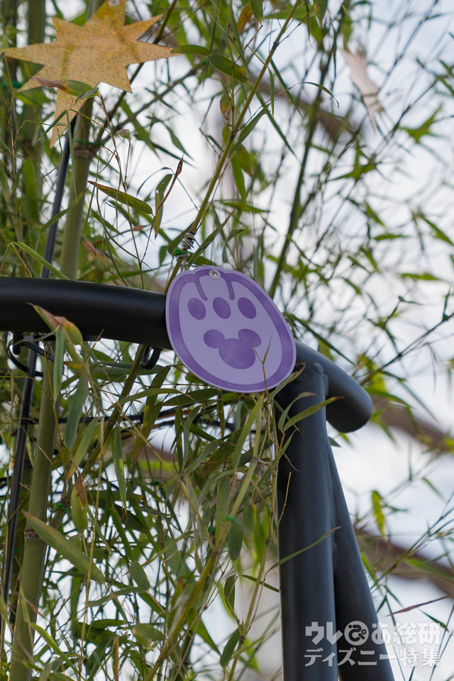 東京ディズニーシー「ウィッシングプレイス」