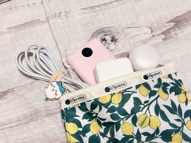 大サイズにはガジェット類を収納！