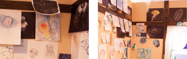 水彩や鉛筆画、パステルなどで描かれたクラゲの絵がびっしり。