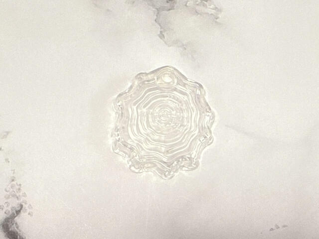 台座は切り株デザイン！