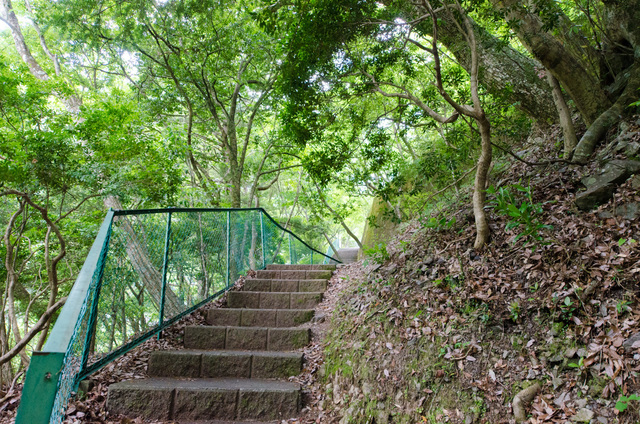 ここまでくれば、階段も終わり｜「夢の吊り橋」散策ルート：寸又峡プロムナード