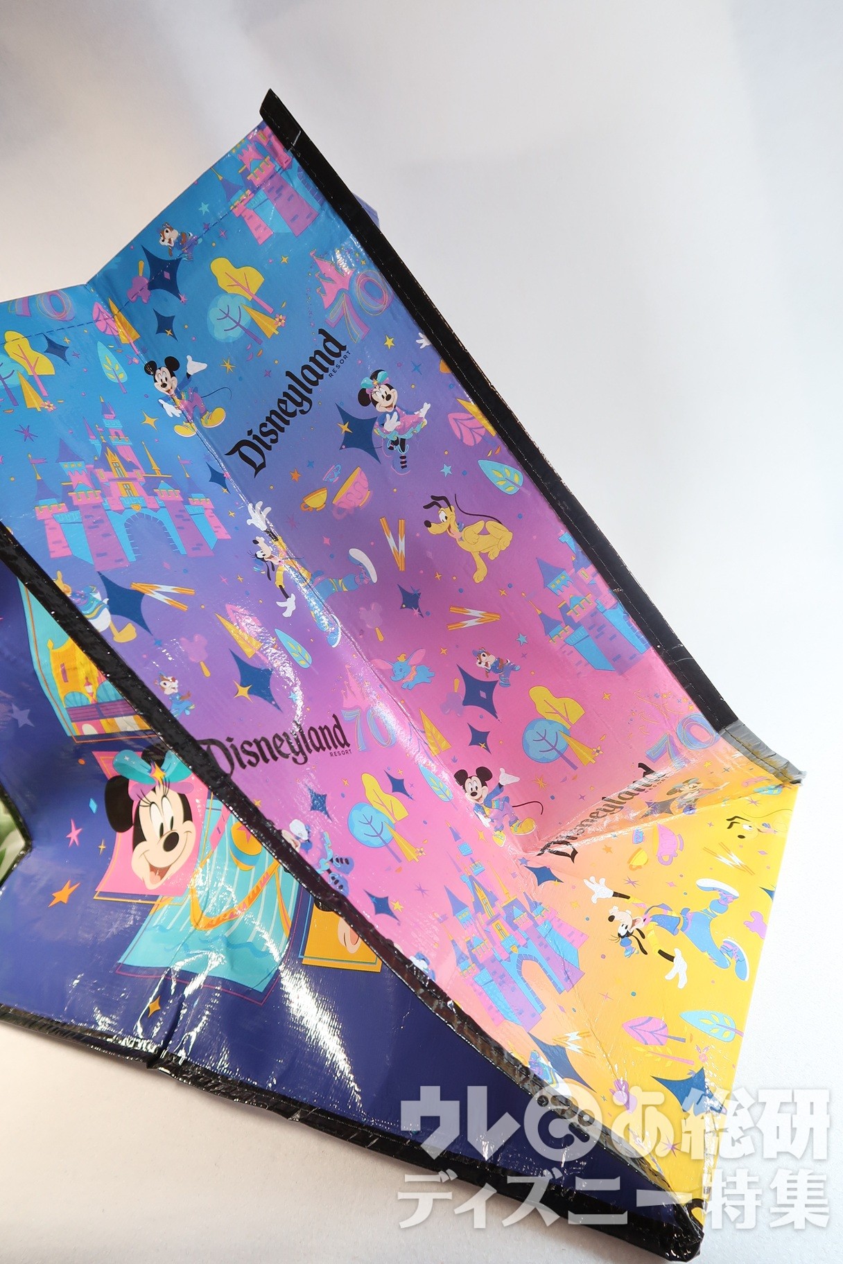 ディズニー】買ってよかった～！70周年記念の「高コスパお土産」現地