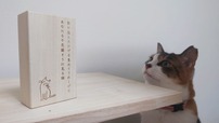 「猫のいる家に帰りたい ねこひげケース」猫も興味津々…