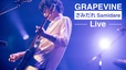 「さみだれ(Live at Zepp DiverCity 2021.07.08)」サムネイル