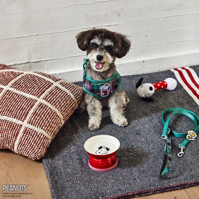 【PEANUTS×Afternoon Tea】リード付きハーネスM ¥5,500、フードボウル ¥2,310、ペット用ぬいぐるみ(カラカラトイ) ¥878
