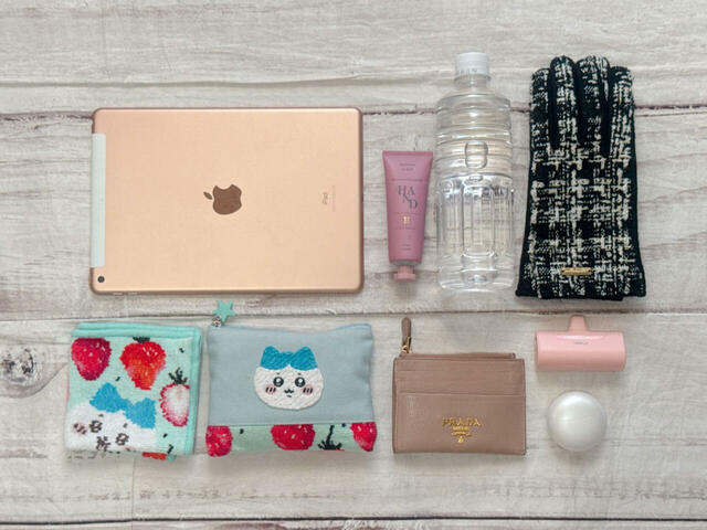 これだけのものが収納できる絶妙なサイズ感