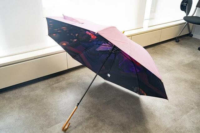 ラプンツェル＆フリン・ライダー 長傘 ジャンプ式 RAINY DAY 3,500円