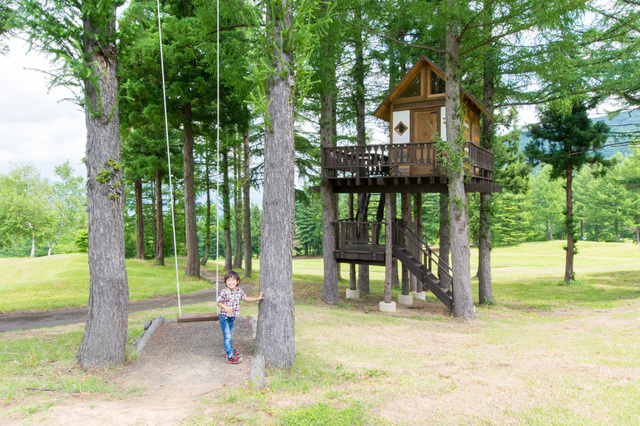 周辺を散策していると……ツリーハウスを発見!