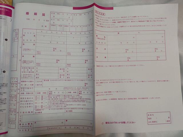 ピンクの婚姻届（裏面は、白の無地です）