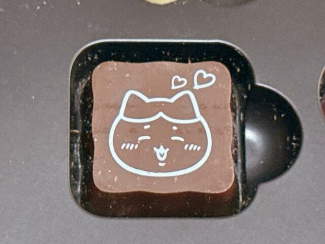 四角いチョコレートはそれぞれソロのイラストプリントも♪にっこり笑顔のハチワレがかわいい！