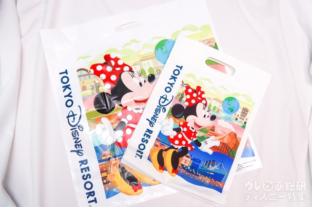 お買い物袋Lサイズとトートバッグ（大）