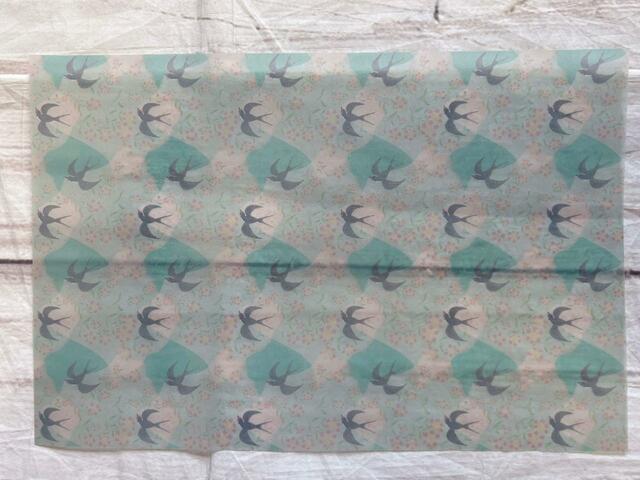 「swallows' clothes」