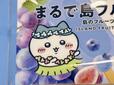 かわいすぎるフラダンス姿のハチワレ