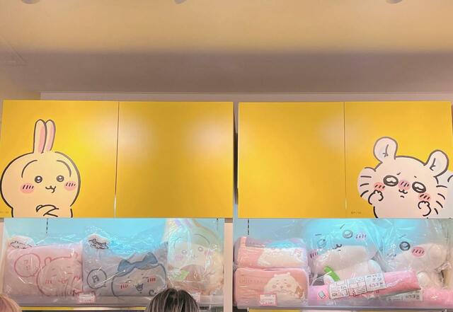 店内上部の壁。天敵？同士のふたりがかわいい！