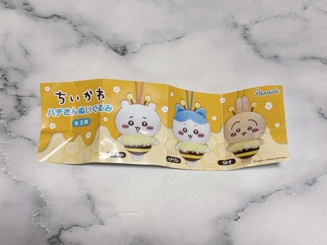 中には今回のラインナップのパンフレット入り