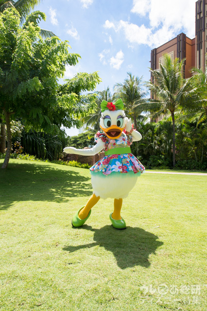 5年のお留守番からアウラニにやって来たデイジー・ダック