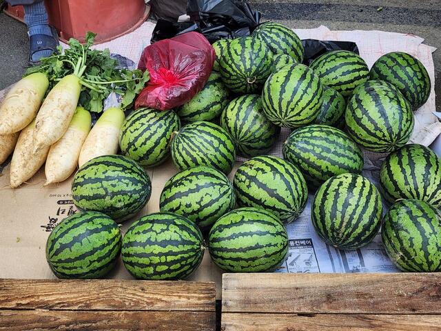 五日市で売られるスイカとダイコン