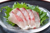 長崎県産ヒラマサのお造り