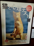 今年の４月に神楽坂で開催され、連日満員を記録した「猫と心理テスト展」のアンコール展示もありました。