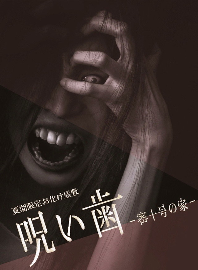 2013「呪い歯～密十号の家」