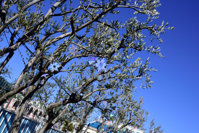 プラザの木々の雪の結晶、昼間は光が反射してキラキラします ©Disney